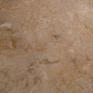 Walnut Fossil